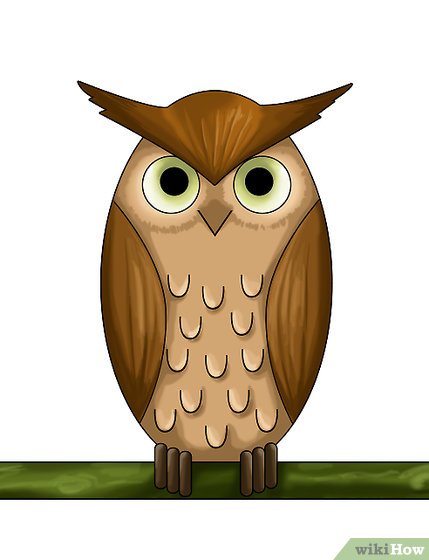 429x560 How To Draw An Owl (With Pictures)