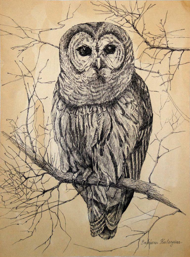 770x1042 Saatchi Art Owl Drawing By Bazhena Kutergina