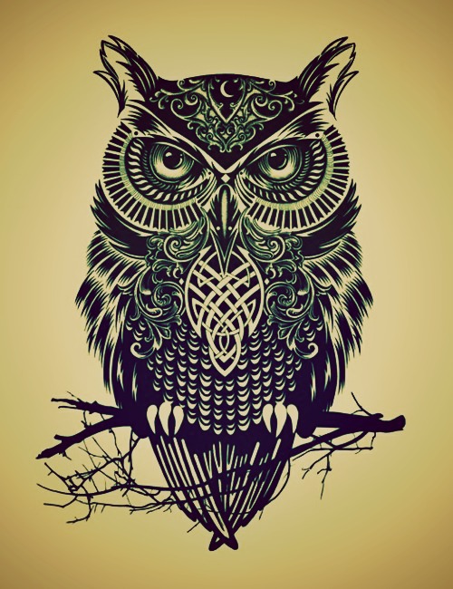 500x650 Owl Drawing Tumblr Discovered By Dee