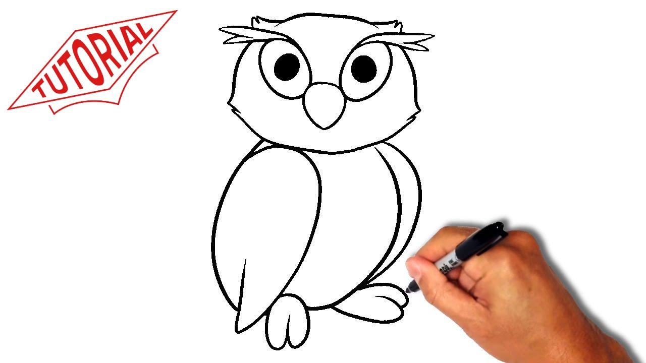 Owl Drawing Step By Step at GetDrawings | Free download