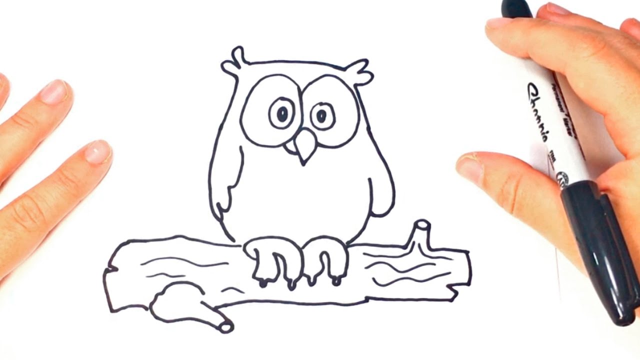 1280x720 How To Draw A Owl For Kids Owl Easy Draw Tutorial