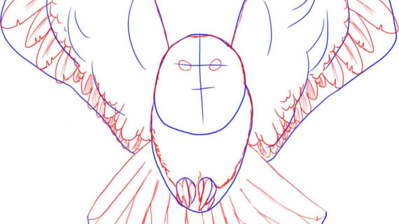 570x320 Owl Drawing Step By Step Step By Step How To Draw Owl Easy Way