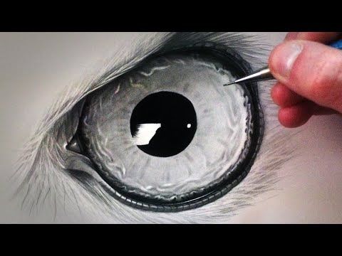 480x360 How To Draw An Owl Eye