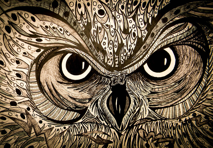 900x625 Owl Eyes Drawing By Nathan Newman