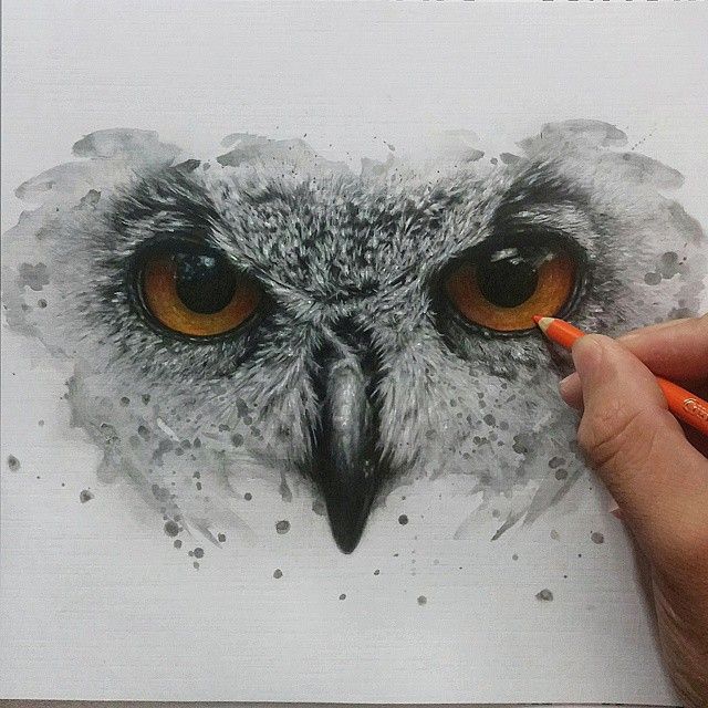 640x640 Real Version On Paper Of Owl Eyes! It's Not As Perfect As