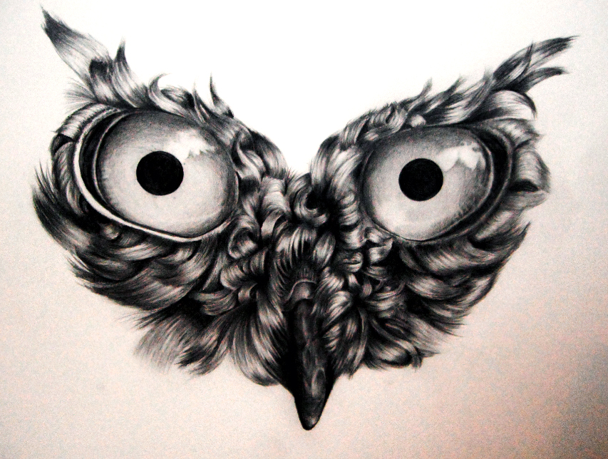 853x644 Owl Drawing Wip (Stage 2) By Icee Bleu Artwork Amazingness