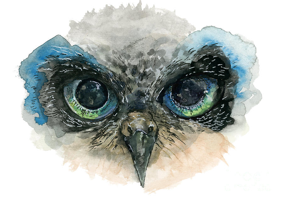900x643 Owl Eyes Painting By Lauren Heller