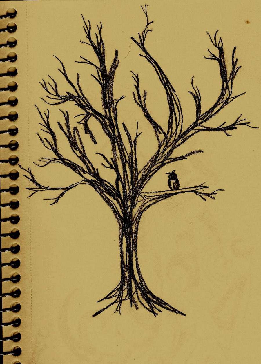 900x1257 Owl In A Tree Drawing Owl In The Hanging Tree By Tomatoaftermath