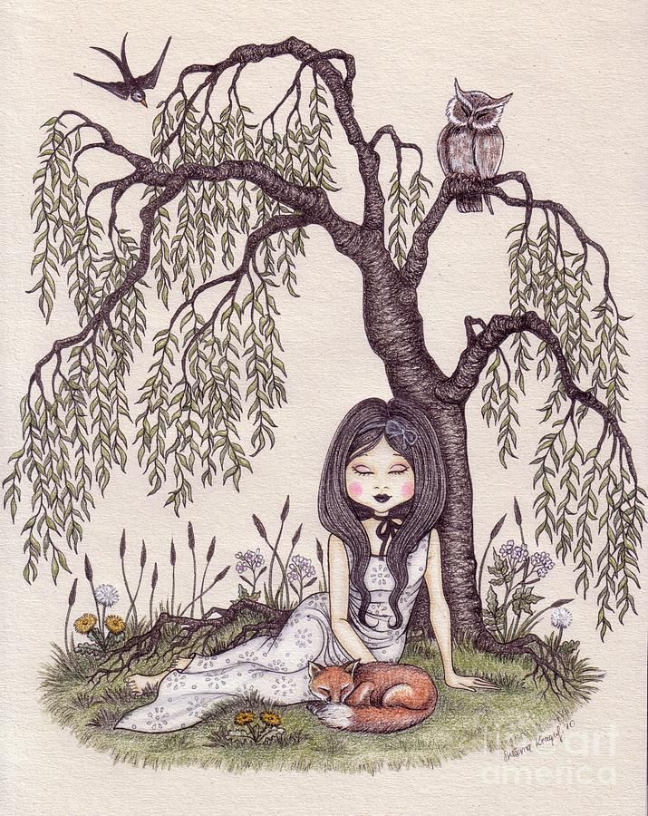 715x900 Under The Willow Tree Drawing