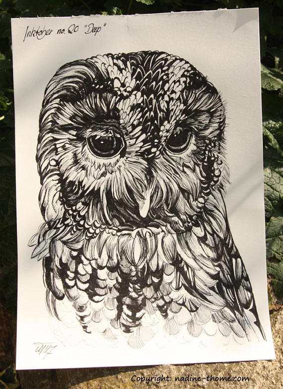570x783 Inktober Sketch No. 20 Deep. By Nadine Thome. Deep Owl Eyes Owls