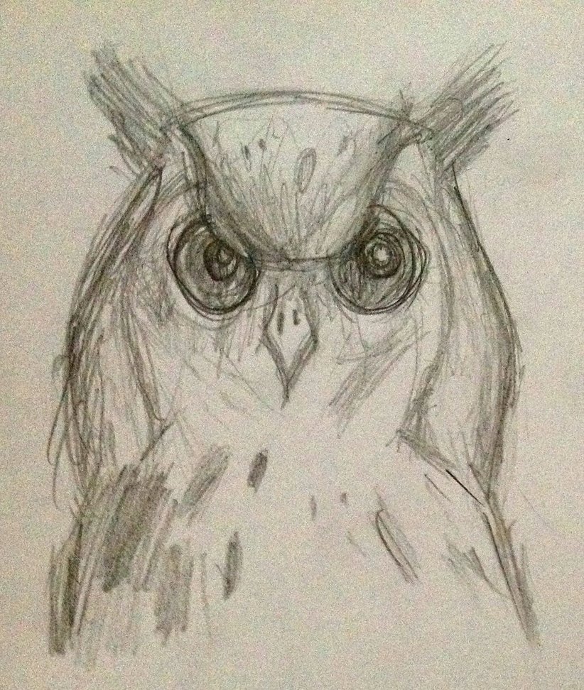 822x972 Pencil Drawing Of Owl By Polka Dot Elephant