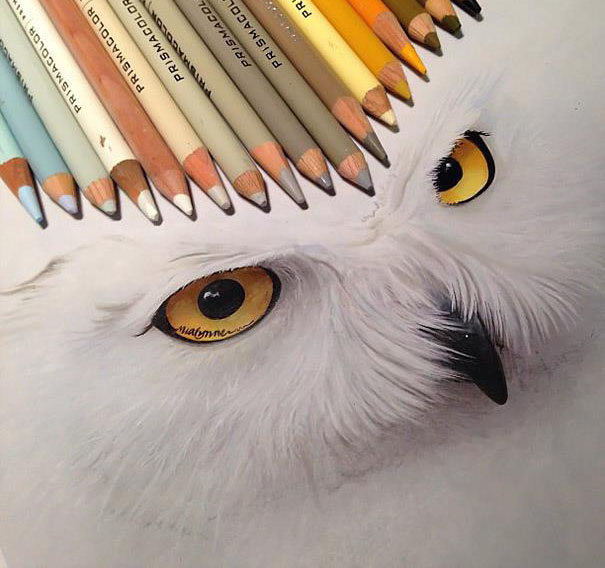 605x568 White Owl Pencil Drawing By Karla Image Preview Image