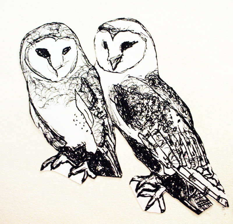 800x769 Barn Owl Drawing In Pen By Silvershadow17