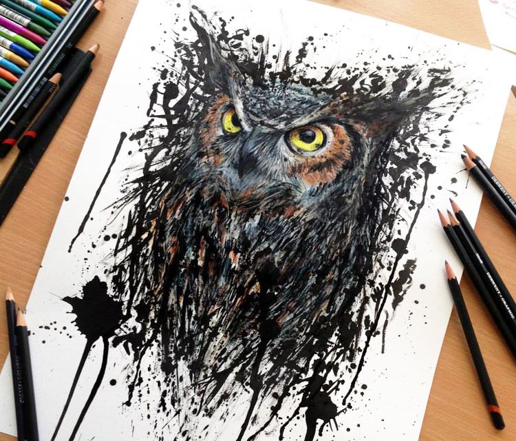 750x640 Owl Drawing By Dinotomic Drawing Owl, Drawing Owls