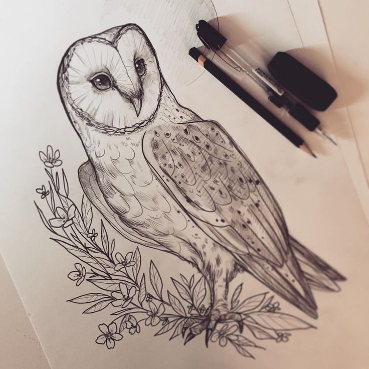 736x736 Drawings Owl The 25 Best Owl Drawings Ideas On Owl