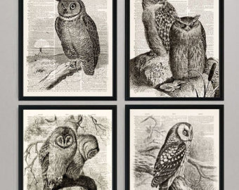 340x270 Owl Drawing Etsy