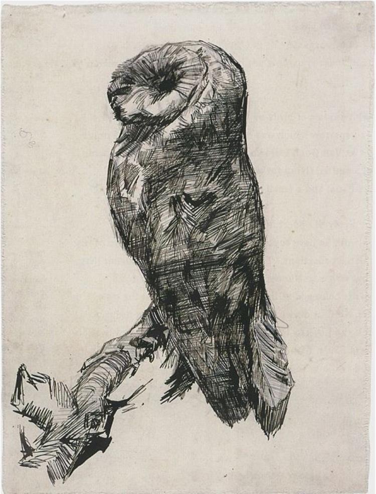 750x986 Van Gogh's Barn Owl Drawings