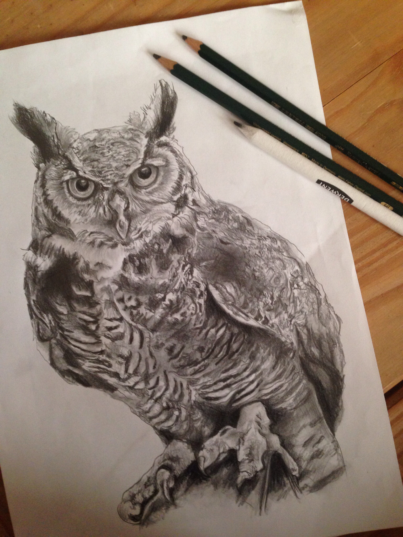 1536x2048 Winning How To Draw Realistic Owls Owl Drawing Drawings