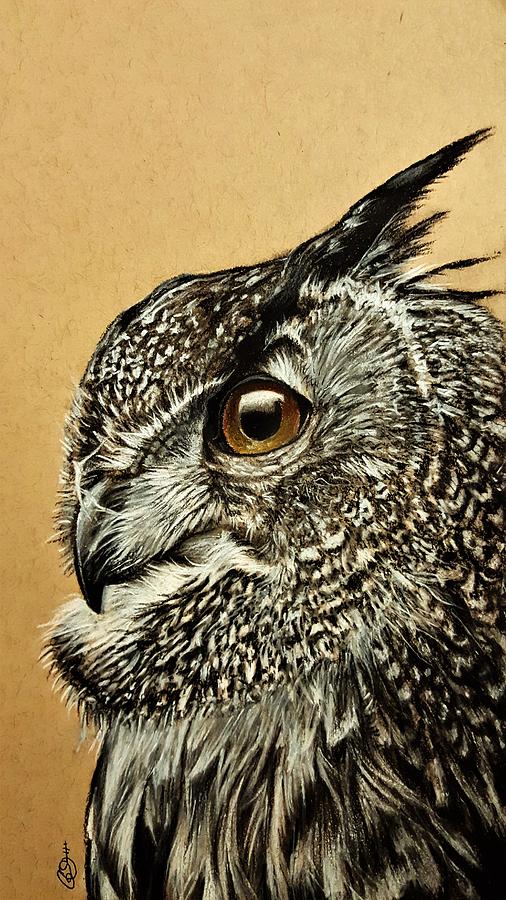 506x900 Owl Drawing By Gilca Rivera