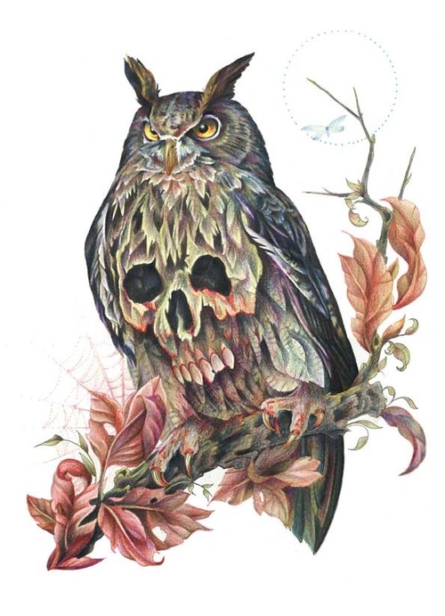 500x691 James Robinson