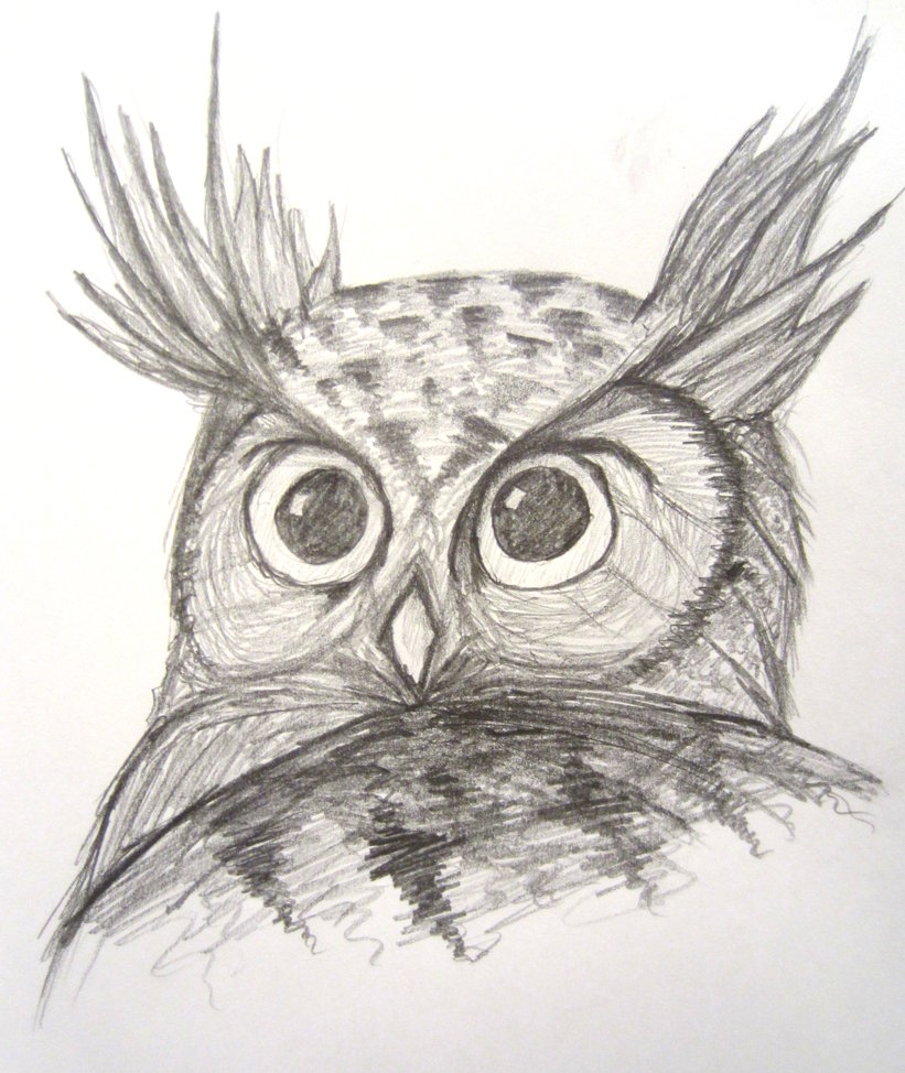 821x974 Horned Owl