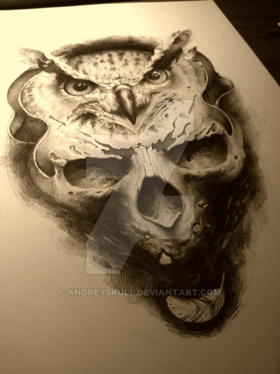 400x534 Owl And Skull By Andreyskull