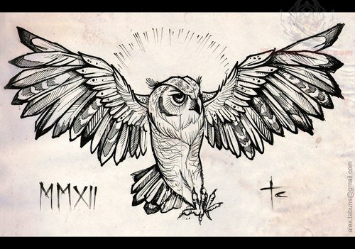 500x351 Image From Wings Owl