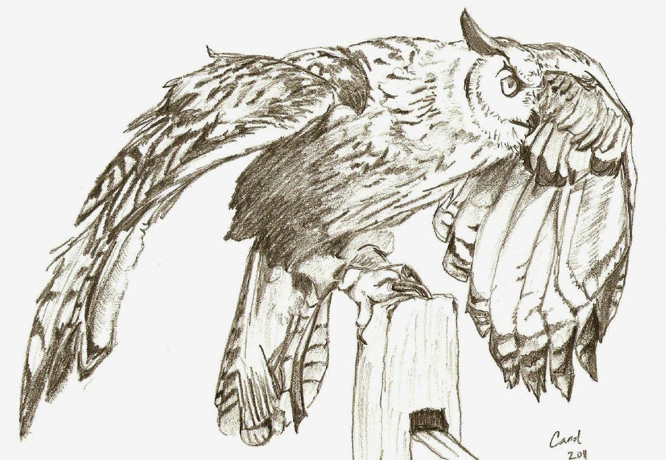 970x670 Lunchtime Carolzart