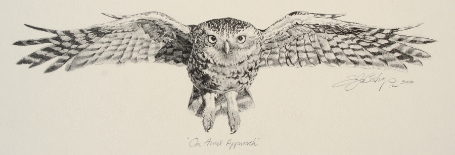 900x308 On Final Approach Tj Bishop Art