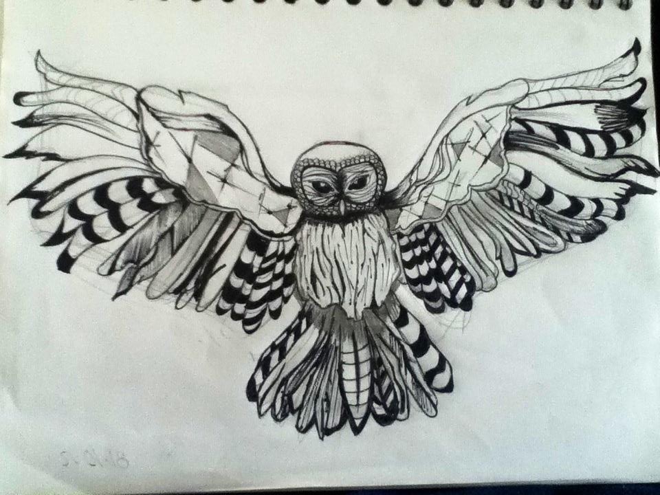 960x720 Owl Wings Amaze You By Mhoojaz