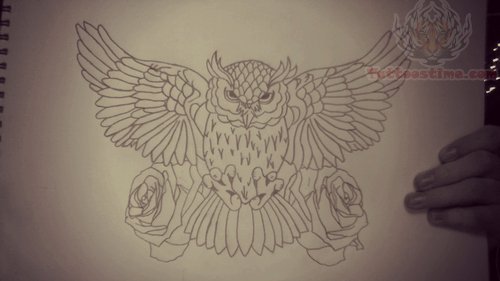 500x281 Owl Tattoo Drawing