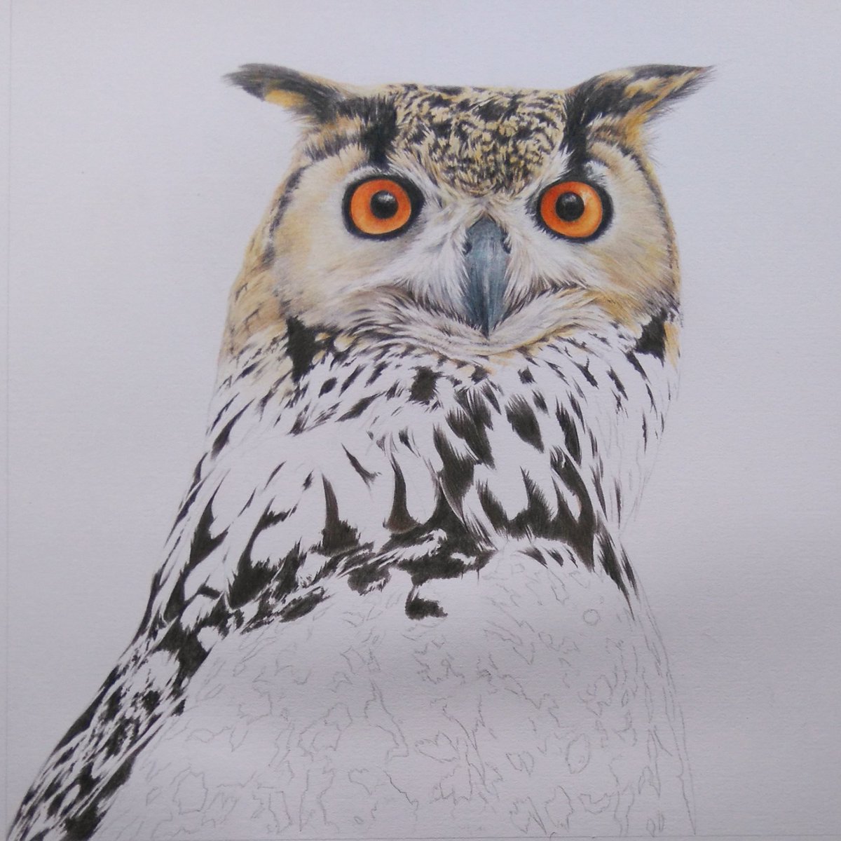 1200x1200 Alan Woollett On Twitter Work In Progress