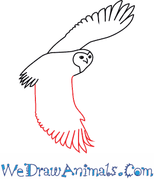 300x350 How To Draw A Snowy Owl