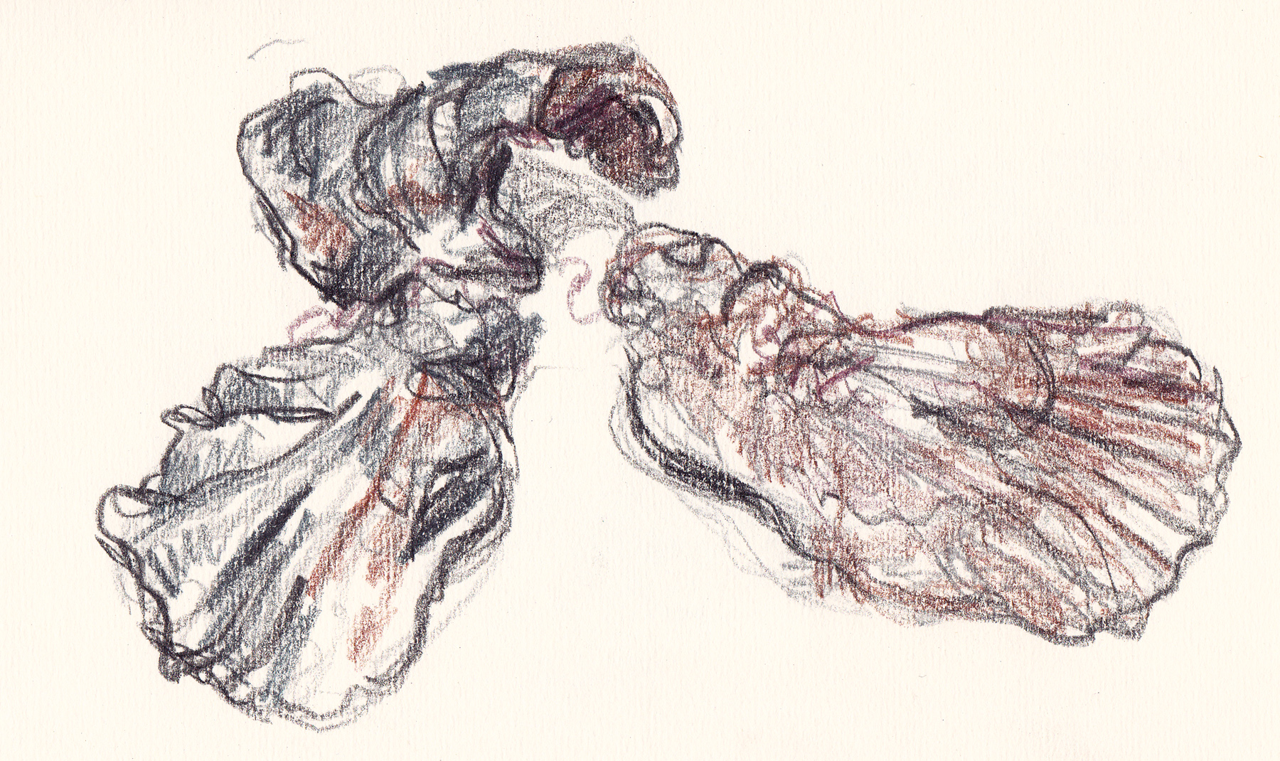 1800x1070 Oyster Shells Method Two Madness