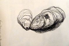 236x158 Oyster Shell