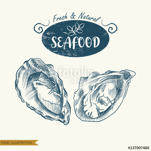 500x500 Hand Drawn Clams Isolated On White Background. Seafood Elements