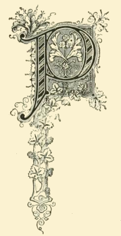 244x476 Tall Letter P Drawing