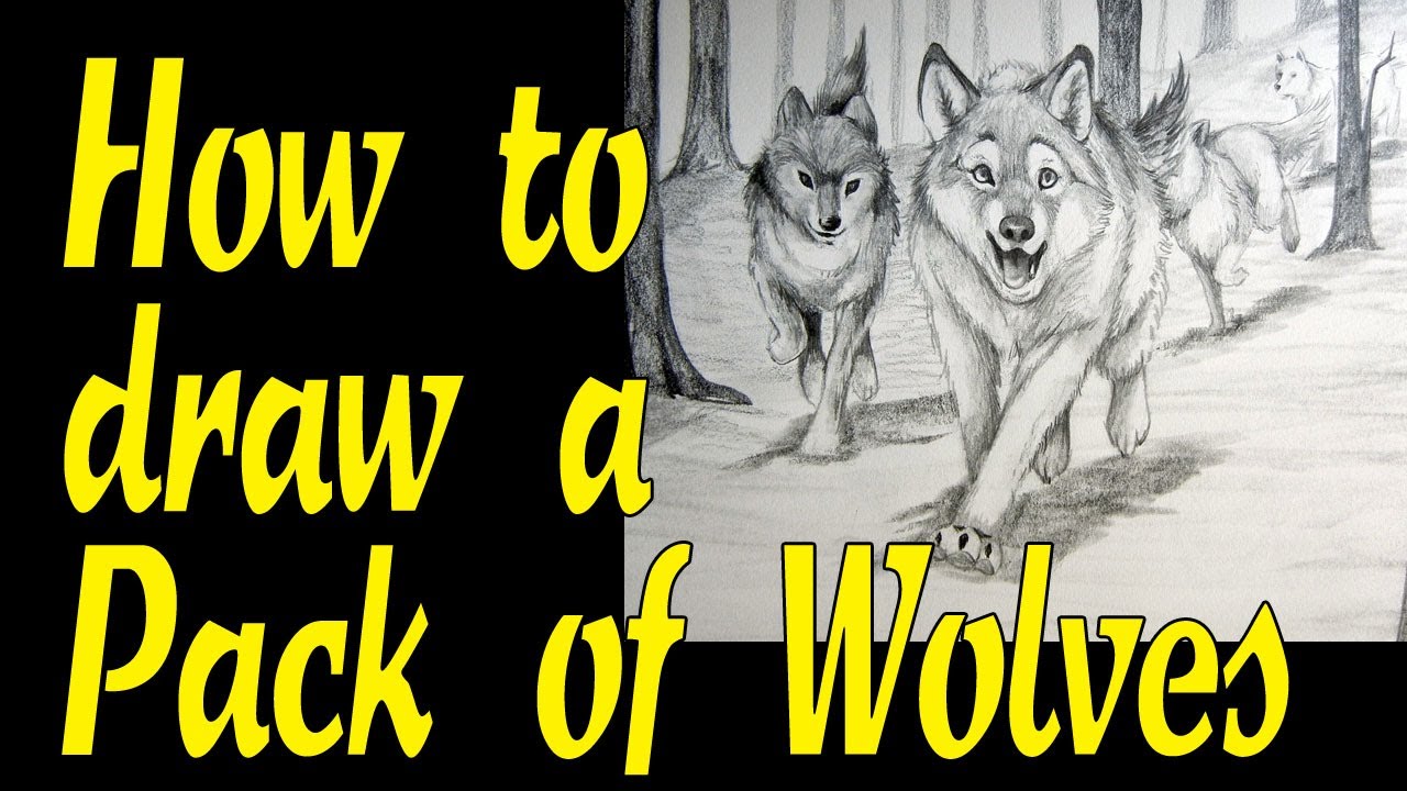 1280x720 How To Draw A Pack Of Wolves