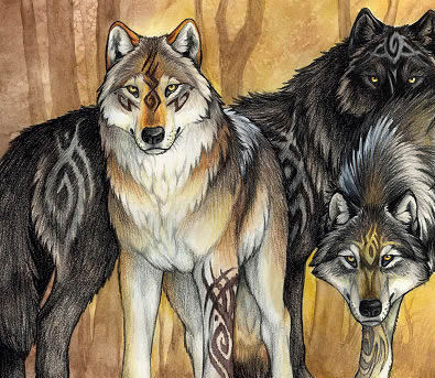 395x343 Wolf Drawing