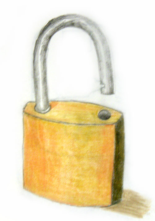 500x712 Shells Daily Drawing Edm