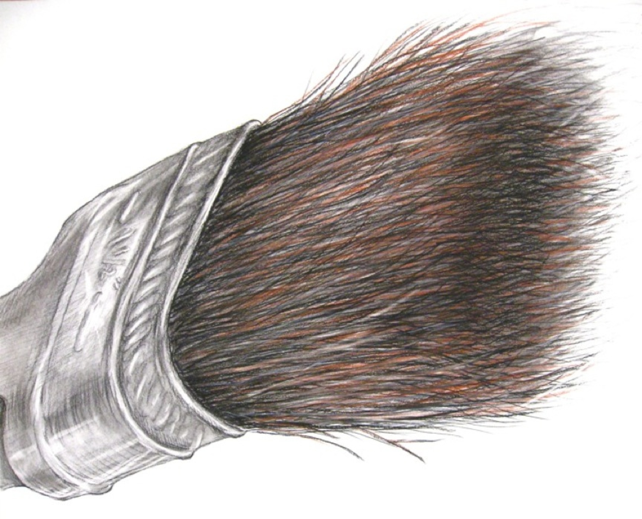 2160x1747 Student Drawing Paintbrush Magnification Philip Hazard