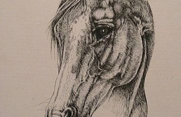 360x233 Sketch Horse Head Pillow Bed Linen Gallery