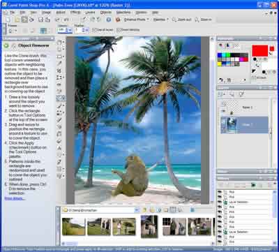 400x361 Paint Shop Pro X Review