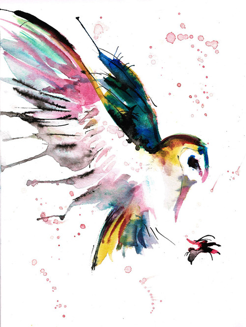 500x663 Drawing Art Painting Nature Bird Color Paint Owl Bloated