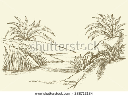 450x341 Drawn Palm Tree Scenery