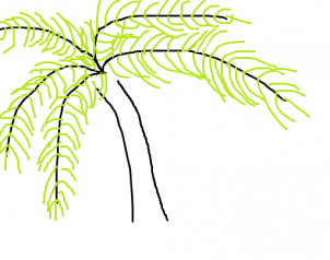 302x238 How To Draw How To Draw A Palm Tree Easy