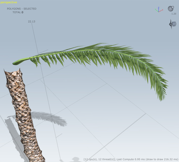 725x653 How Create A Palm Tree