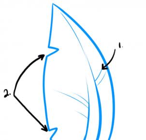 302x290 How To Draw How To Draw Palm Trees