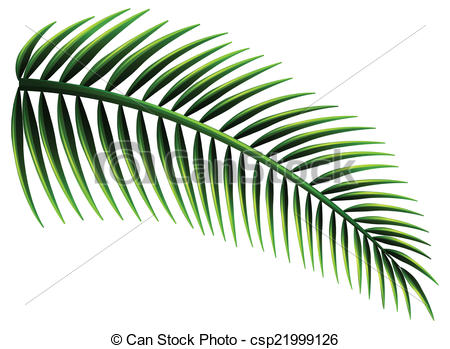 450x349 Illustration Of The Palm Leaves On A White Background Vector