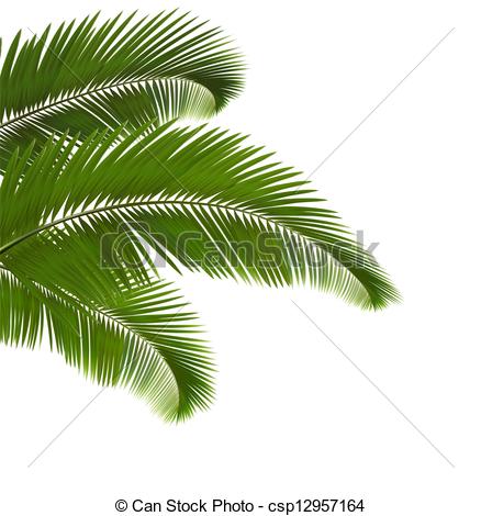 438x470 Palm Leaves On White Background. Vector Illustration. Clip Art